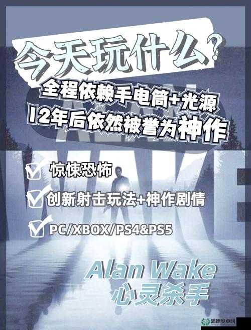 心灵杀手游戏手柄震动问题解决策略，资源管理技巧与最大化游戏价值指南