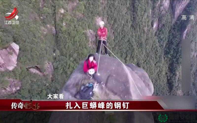 三位一体2全面攻略，智勇双全策略，助你征服强大巨蟒挑战