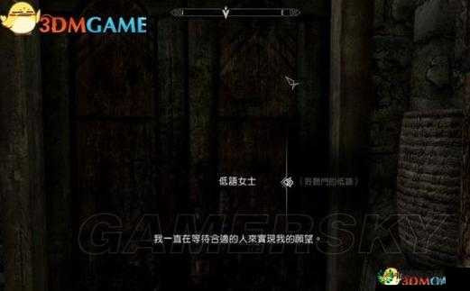 上古卷轴5，全面解析成为领主之路与高效资源管理艺术