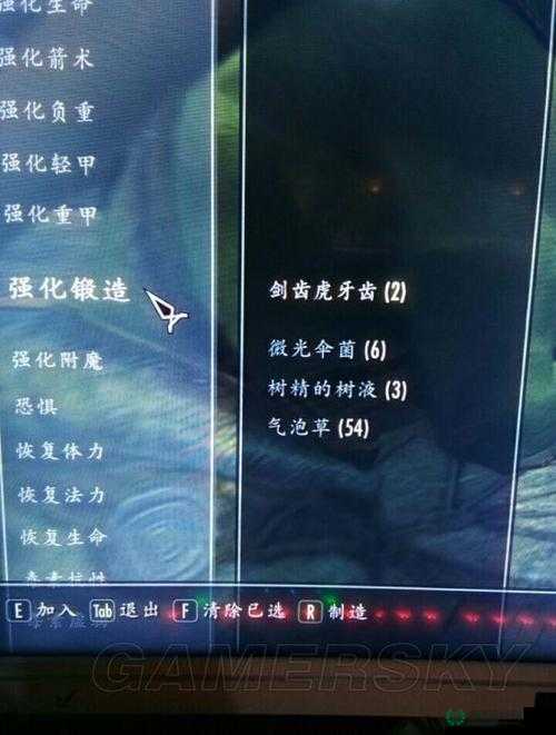 上古卷轴5游戏攻略，全面深度解析召唤系技能练级方法与技巧