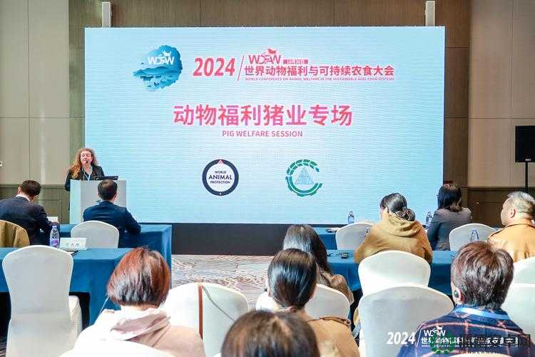 人马畜禽 CORPORATION 猪巴西：引领畜牧业新潮流
