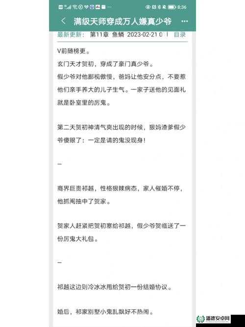 联姻对象 11h 之命运交织的情感传奇与未来展望