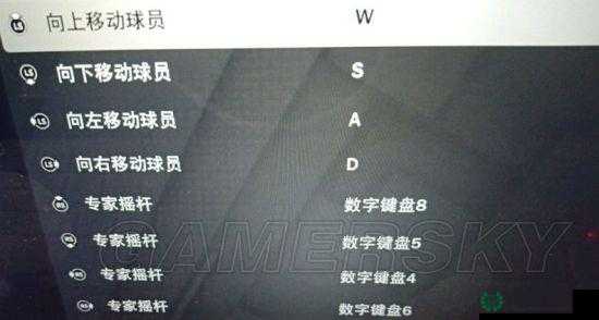 NBA2K12键盘党必备，全面解锁并提升你的篮球游戏操作秘籍