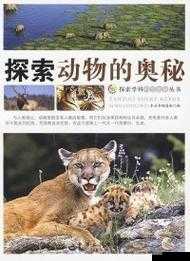 在一线 a 探索新可能：欧码亚码的奥秘与未来