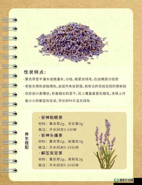 薰衣草研究所 APP：专注薰衣草研究与信息分享的专业平台