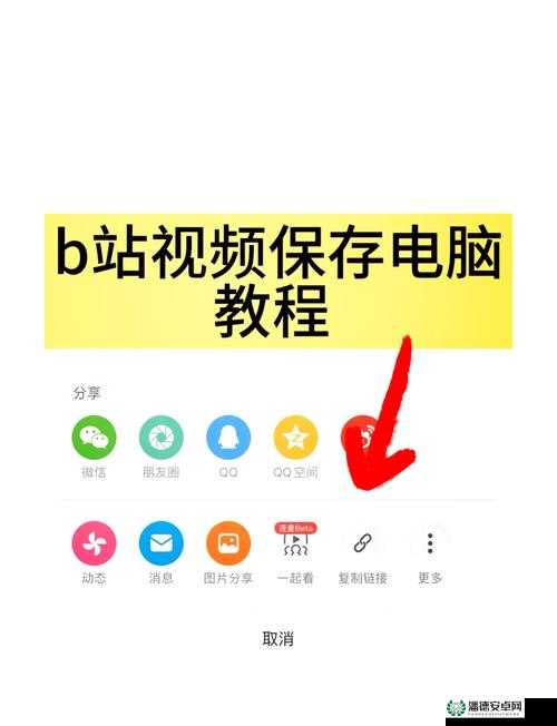 逼哩逼哩下载：畅享精彩视频的必备选择指南