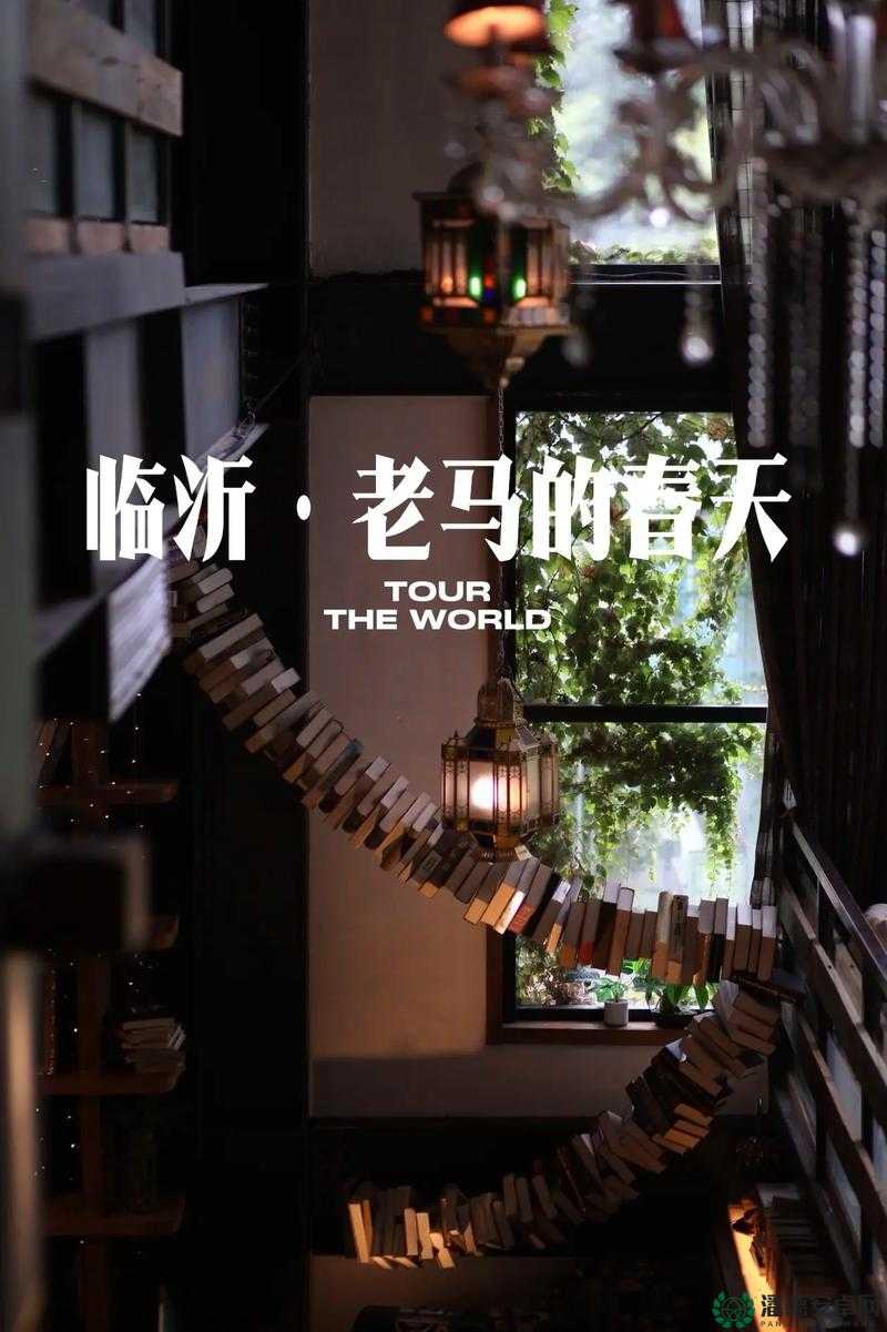 老马的春天顾晓婷的更新时间-精彩内容何时再续新篇章
