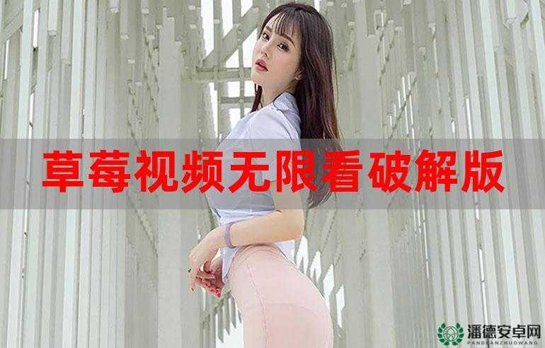 草莓视频在线观看 18：无尽激情，尽在这里