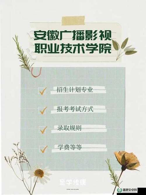 热心朝阳群众 51cgfun 最新网站相关资讯及探讨
