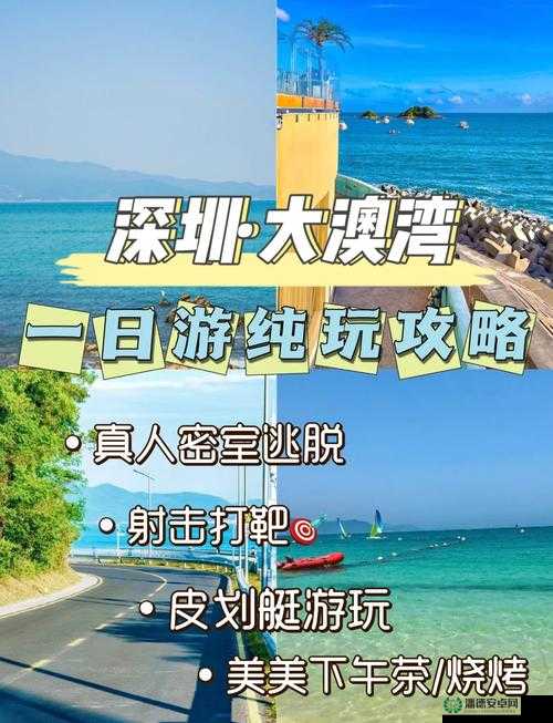 从澳门到深圳：探索大湾区的机遇与魅力