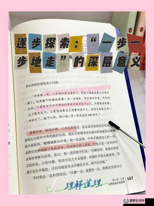 开始慢慢迎迎合：探索其背后的意义与价值以及发展方向