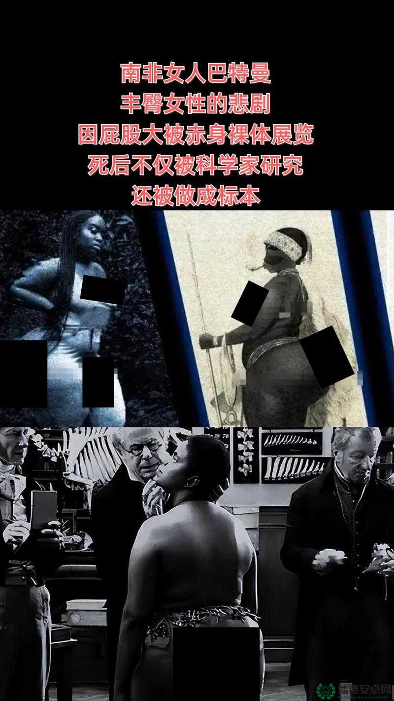 老妇女那令人瞩目的大 BwBwBwB 引发的奇妙故事