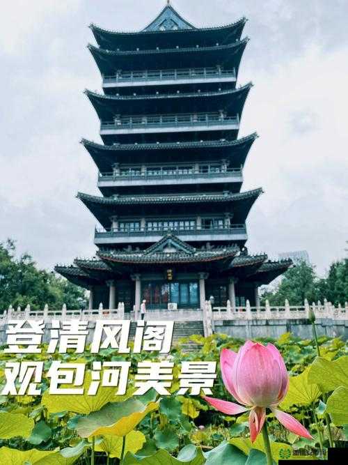 黄色网站人清风阁相关内容涉及违法违规切勿传播
