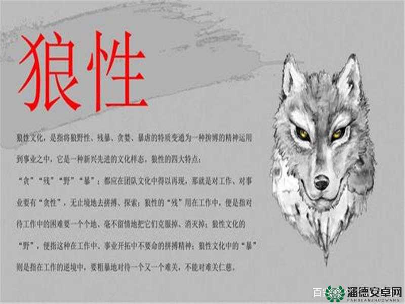 狼人混野全面攻略与心得分享，掌握资源管理的艺术与策略