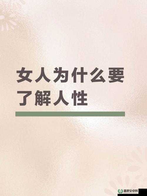 韩国理伦：探讨人性与道德的深刻思考
