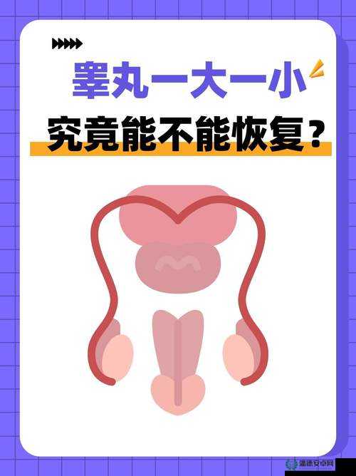 睾丸进入子宫的里面长肉粒正常吗：相关问题的深度探讨与解答