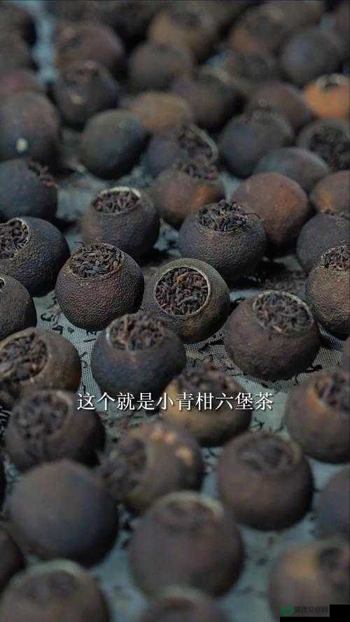 小青柑一线产区与二线产区区别大揭秘