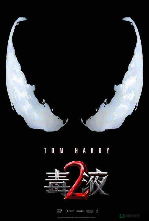 暗夜在线使用：畅享独特在线体验的秘密之地