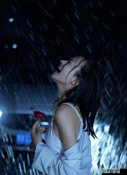 888jux 人妻本庄破坏版：婚姻的破裂与道德的沦丧