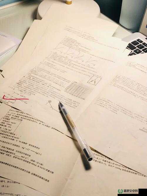 作业 PLAY 错一题一支笔：为何会有这样的惩罚规定