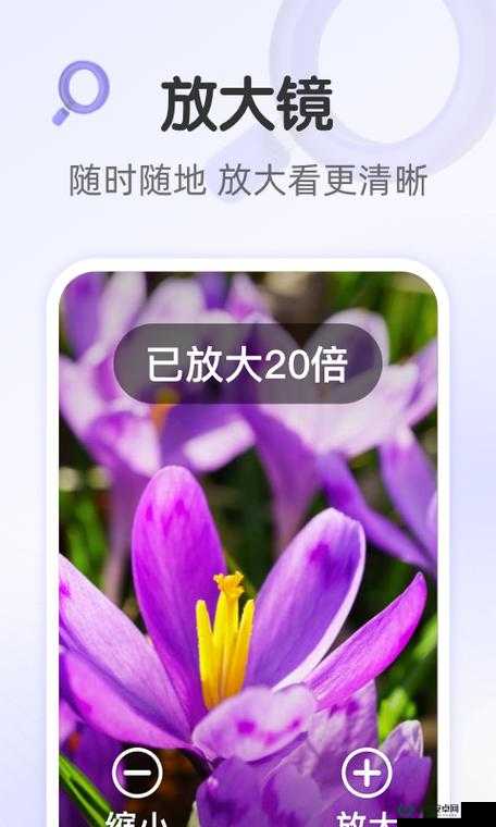 91 免费安装安卓手机：畅享便捷高效手机应用体验