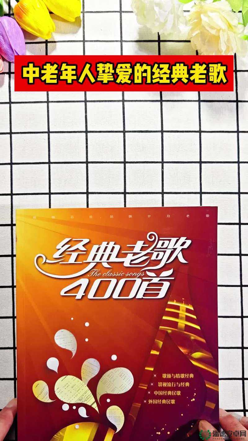 早上躁晚上躁天天躁 8090：追求梦想的青春之歌