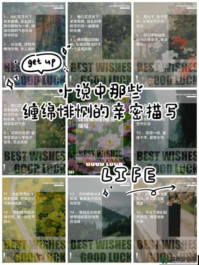 小说中那缠绵悱恻、激情四溢的行房精彩描写
