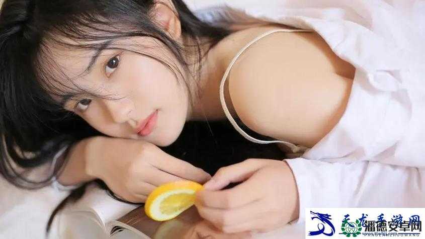丰年经继拇中文 2：值得入手的经典之作