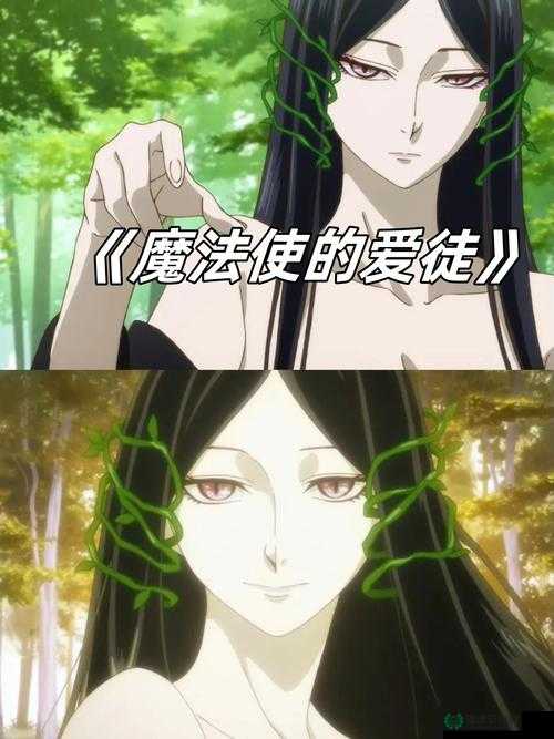 魔法使与主人之间的好感度究竟如何提升？深度解析揭秘悬念！