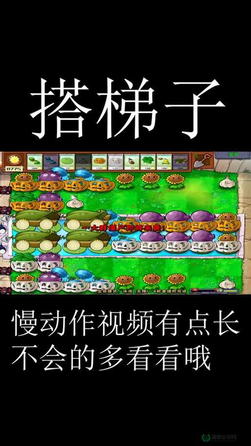植物大战僵尸10炮流如何从8炮流演变而来成就无敌加赚钱传奇？