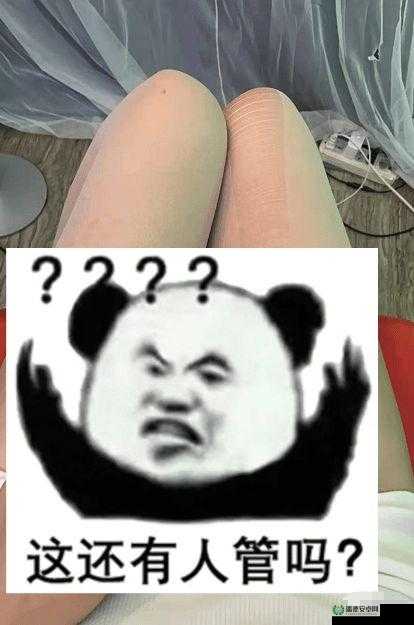 把自己自 W 到高 C 的正确打开方式