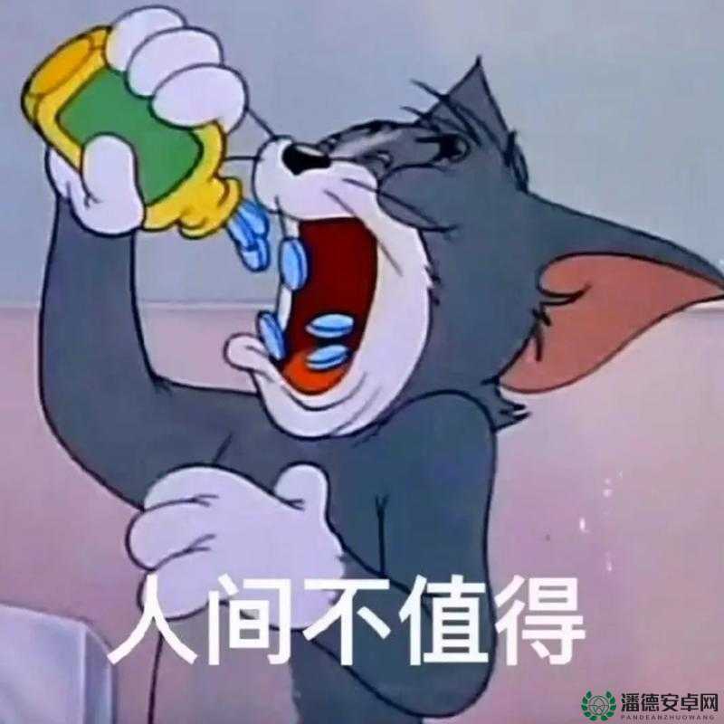 汤姆温馨提示 30 秒中转：带来便捷服务与贴心关怀