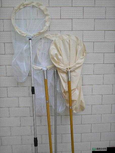 探索专用捕野鸡网50米的实用技巧与高效使用方法，提升捕猎成功率