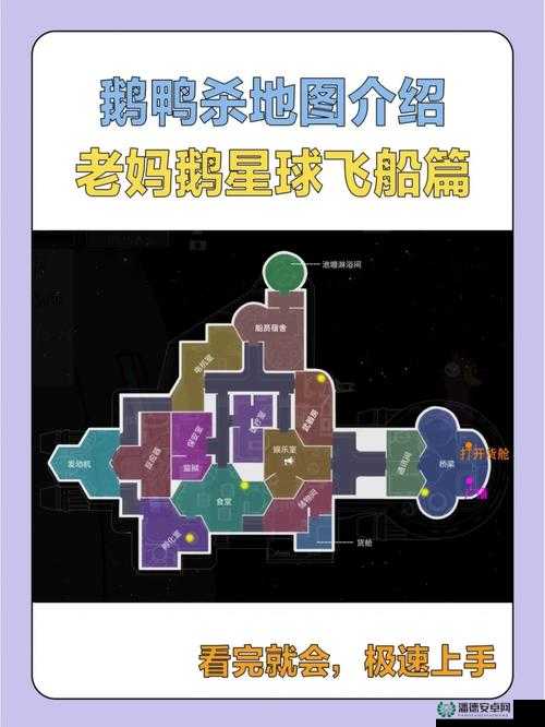 鹅鸭杀呆呆鸟玩法究竟有何独特之处？全面攻略大揭秘！