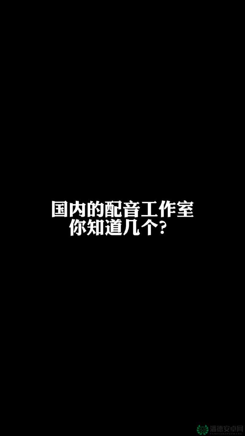17c20.cv 是什么？它有何独特之处？深入了解 17c20.cv 的相关信息