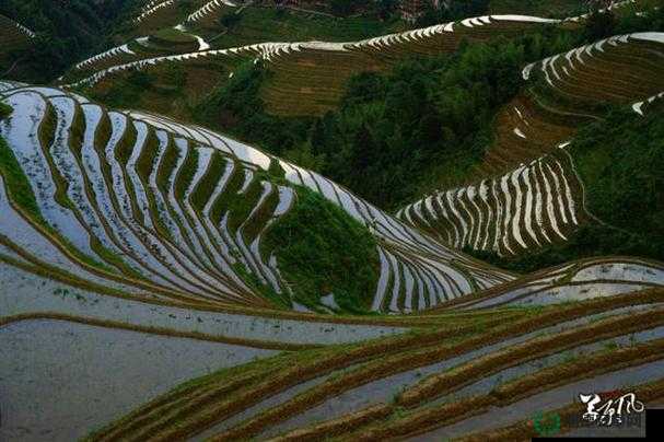 大地资源三在线观看 8 在哪里可以找到？如何流畅观看大地资源三在线观看 8？需要注意的是，大地资源三这类可能涉及侵权或非法内容的资源，不建议进行观看和传播我们应当支持正版，维护健康的网络环境