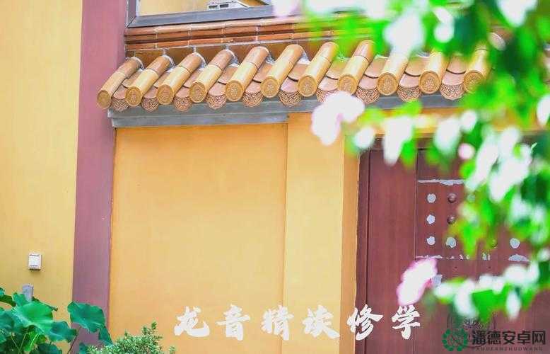 如何在电子木鱼中聆听佛经？探索心灵与技术完美交融的奥秘