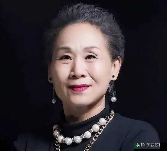 Chinese性老太grandma的传奇人生：揭秘她背后的故事与独特魅力