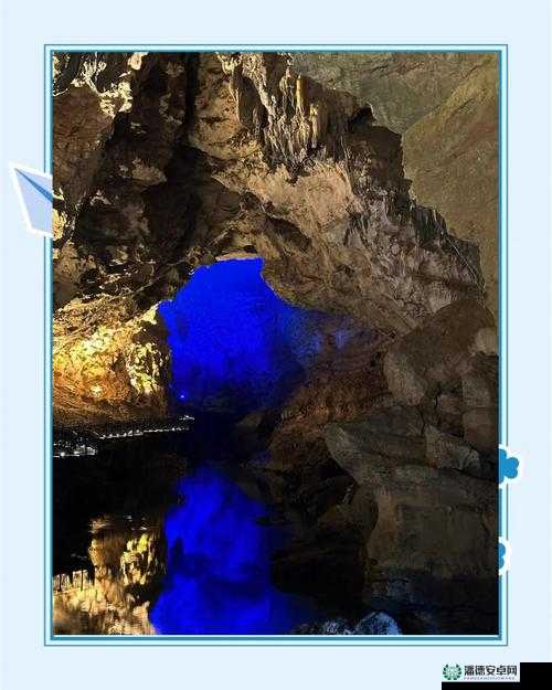 不知火和三个小男孩在森林公园，隐藏的数字究竟是多少？  或者  神秘之境：不知火与三个小男孩在森林公园，数字之谜等你解