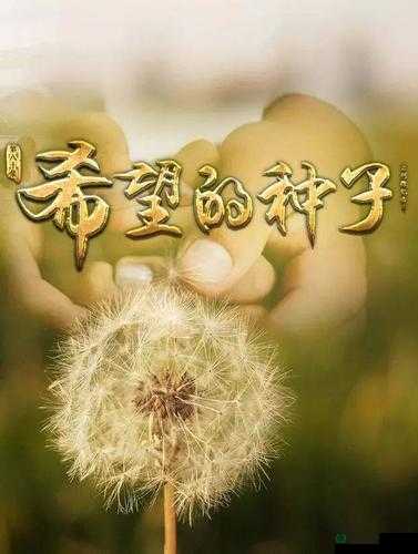 印度歌曲神的挤奶工为何如此震撼？它背后有怎样的故事和魅力？