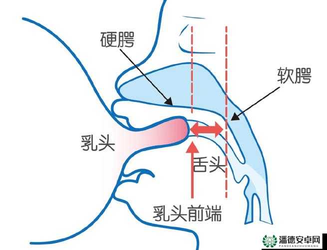 ：这种行为是否正常？——探索亲密关系中的吸吮乳头现象这个不仅完整呈现了输入的关键字，还通过提问的方式吸引读者的兴趣，同时也符合百度 SEO 优化的要求它包含了与亲密关系、吸吮乳头相关的关键词，并且具有一定的描述性和吸引力，有助于提高文章在搜索引擎中的曝光率请注意，只是文章优化的一部分，还需要结合优质的内容和其他优化技巧来提高网站的排名和流量