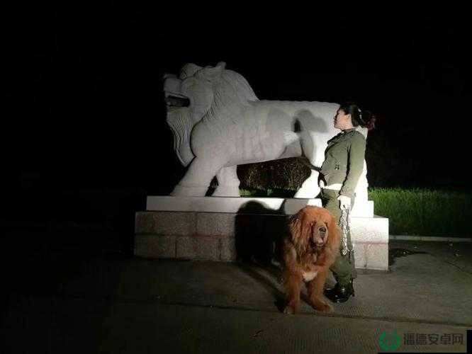 什么？丰满女人竟与藏獒在 3D 中进行不可描述的行为？
