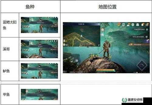 黑色沙漠手游钓鱼玩法有何独特之处？深度解析带你一探究竟！