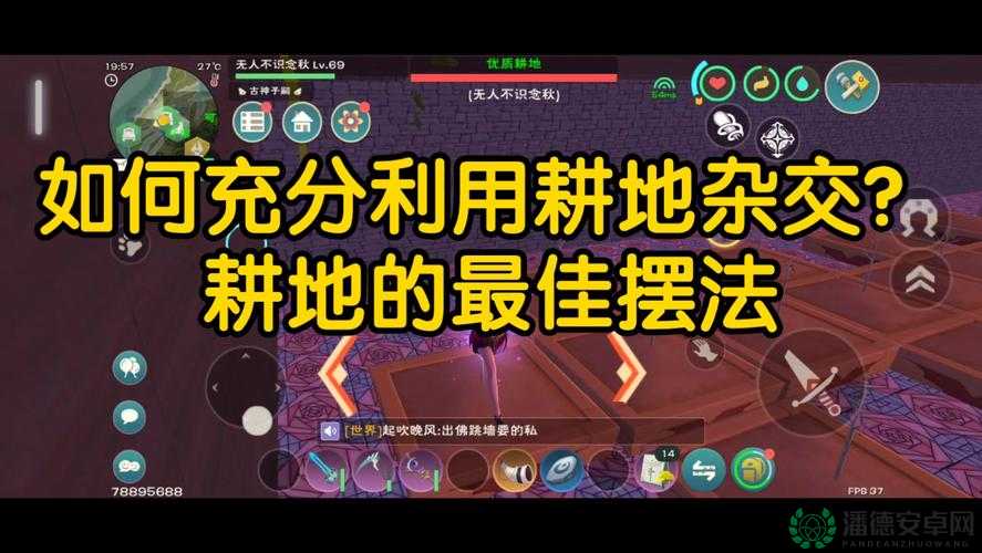 哪些种子最适合在创造与魔法的优质耕地上种植？打造梦幻魔法田园的秘诀！