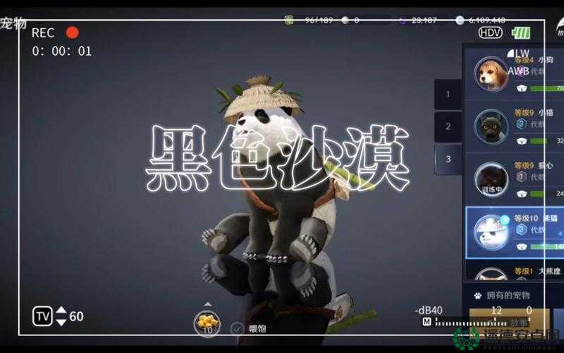 黑色沙漠手游熊猫宠物如何轻松解锁？全攻略揭秘！