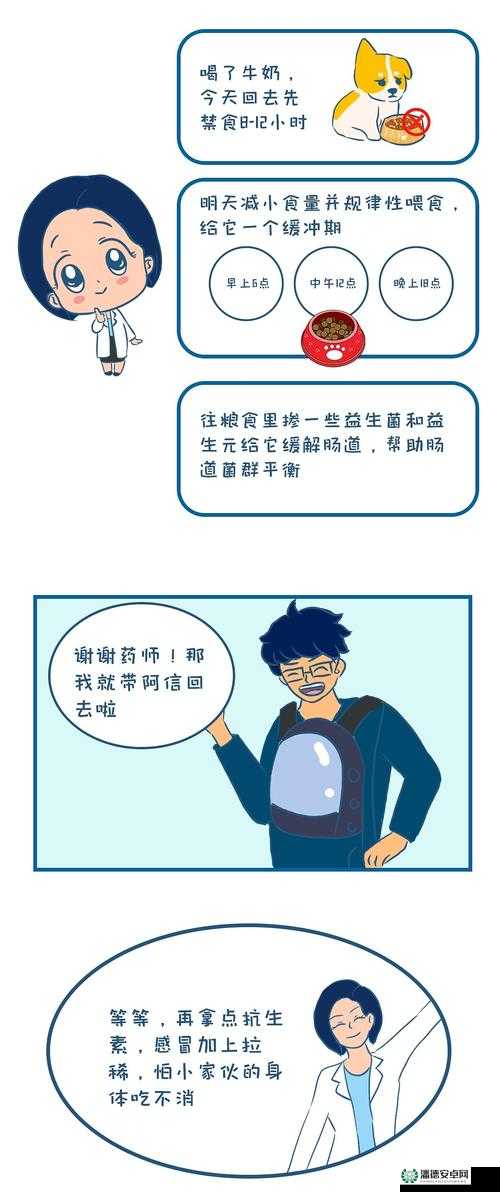 宠我一生健康值如何观看？揭秘未来玩法革命性变化的猜想