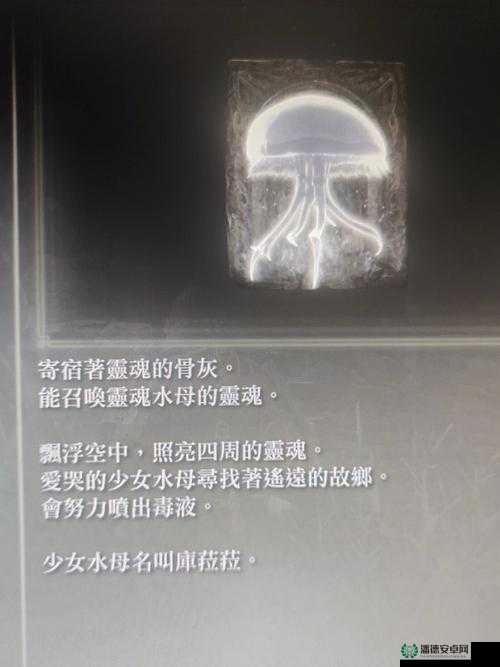 艾尔登法环水母骨灰支线究竟隐藏着什么？一场梦幻般的灵魂之旅待揭秘？