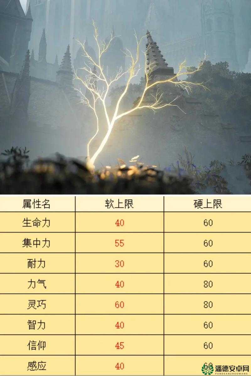 艾尔登法环玩家必看，如何快速提升等级？揭秘高效升级秘诀！