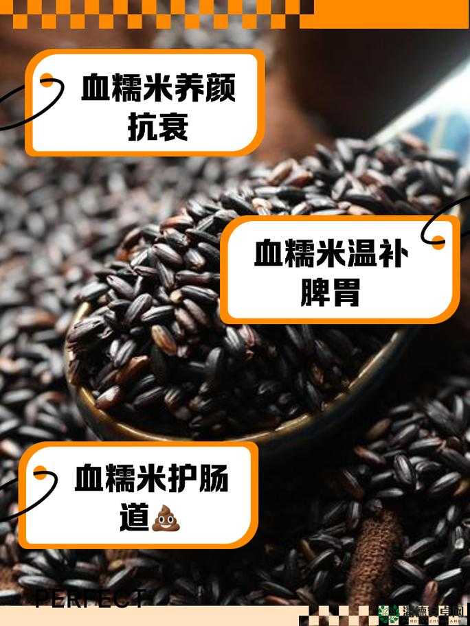 热血传奇手机版糯米酿酒属性如何变迁？解析其演变史揭秘