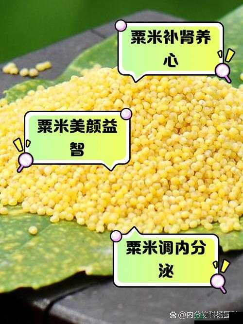 热血传奇手机版粟米酿酒有何奇效？属性揭秘与玩法革新大猜想